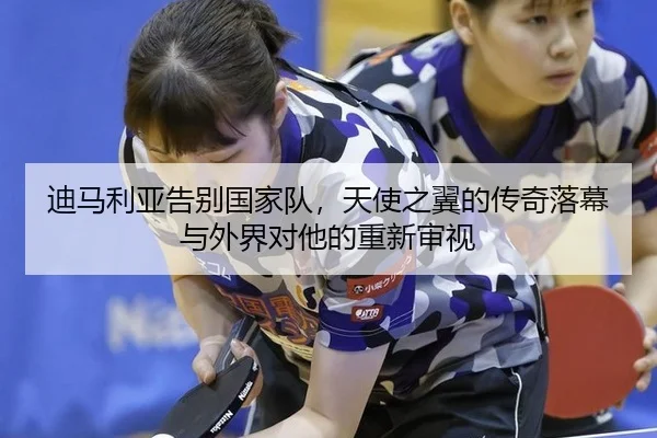 迪马利亚告别国家队，天使之翼的传奇落幕与外界对他的重新审视